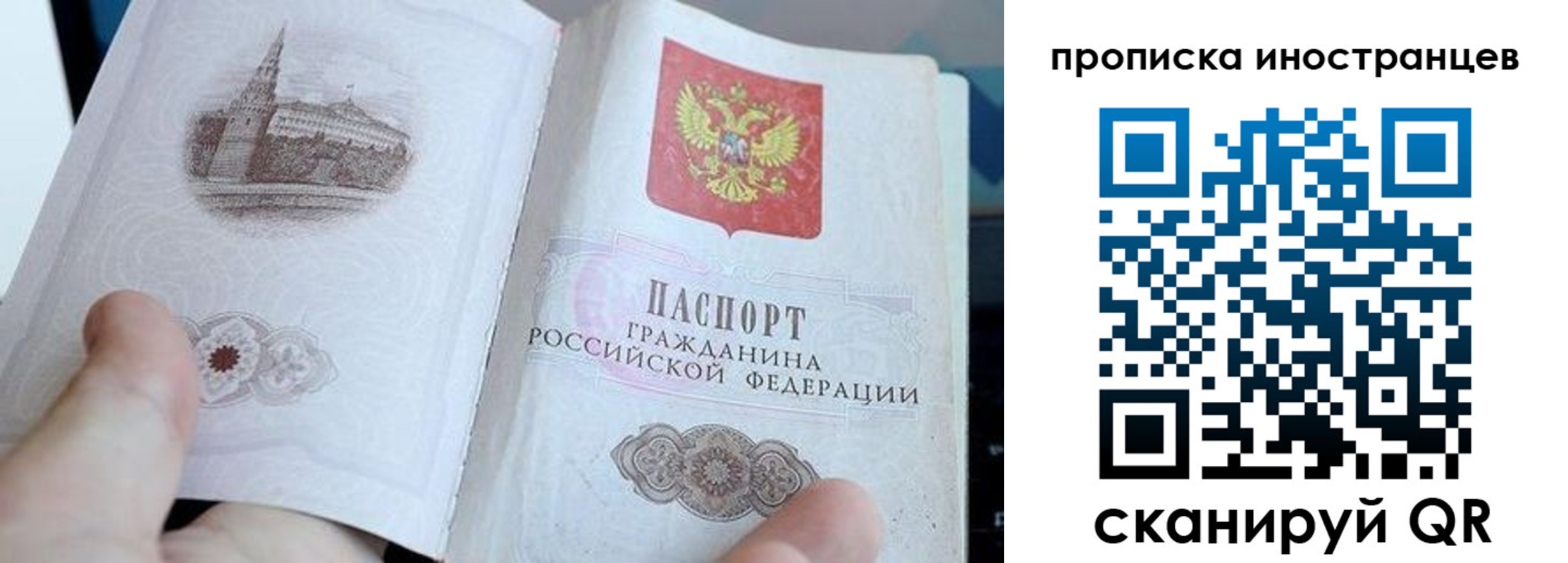 прописка поиск в Алтайском крае